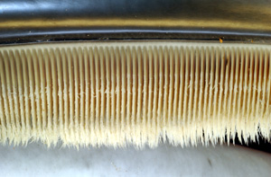 Baleen plate