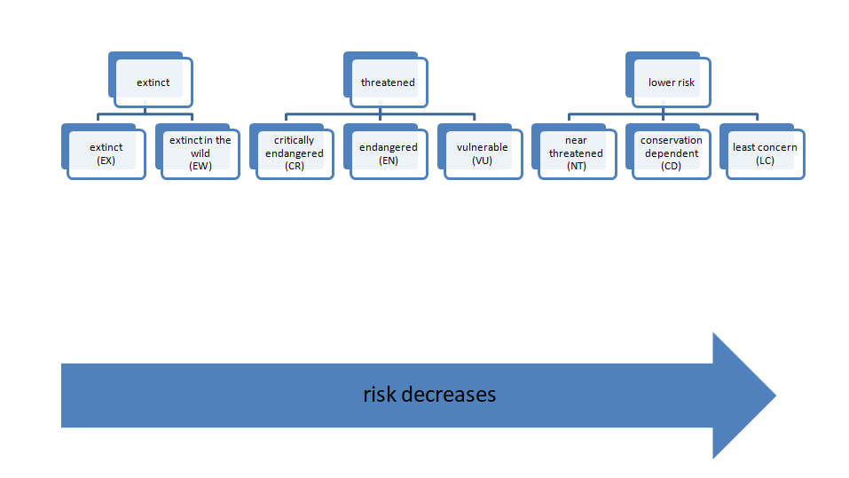 IUCN conservation status