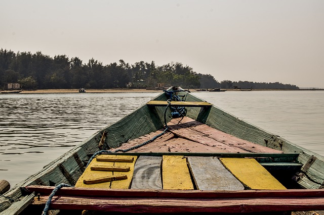 A view from a boat at Chilika lake