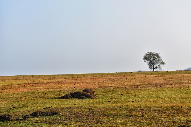 Chhattisgarh