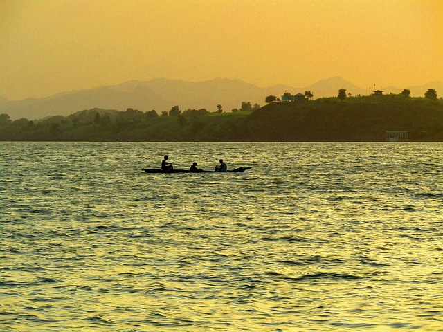 Narmada river