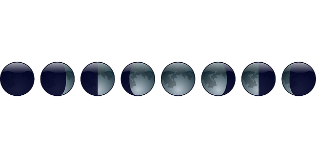 Phases of the moon