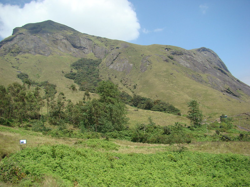 Anamudi - The highest peak in South India