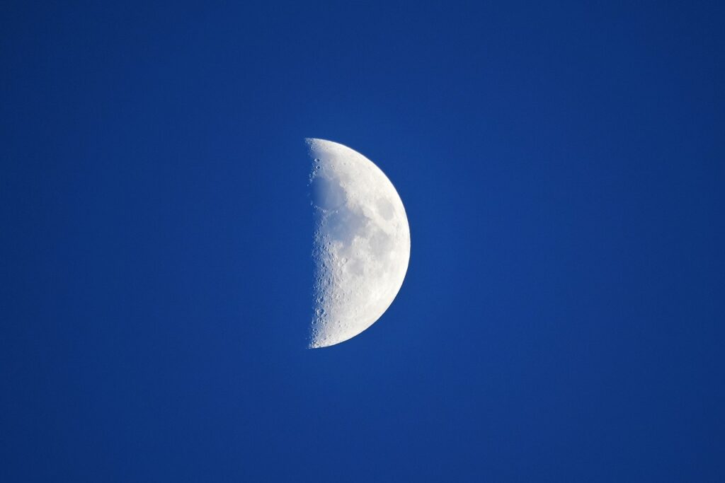 First quarter Moon phase
