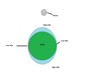 Tides | Different types of tides | Causes of tides - GEOGRAPHY HOST