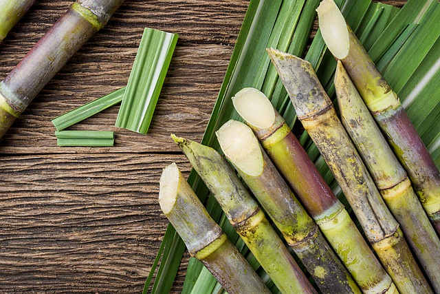 Sugarcane in Brazil