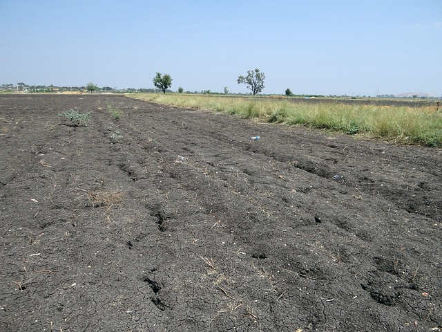 Black soil in India