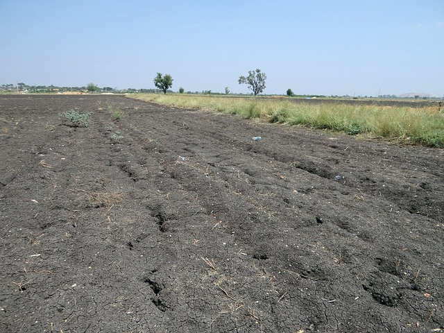 types of soil black soil