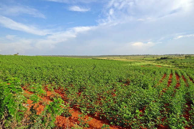 Red soil in India