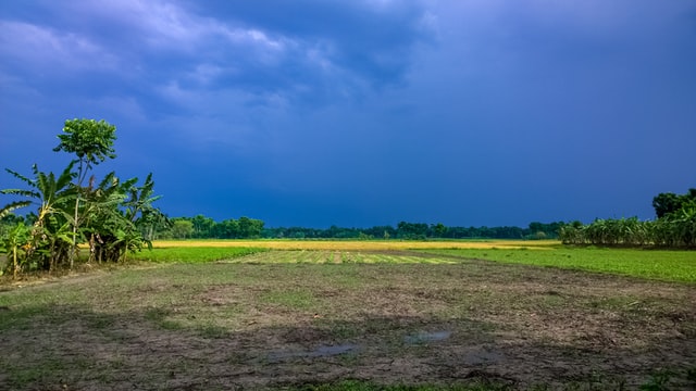 Alluvial soil in India