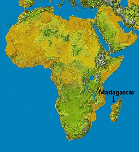 A map of Africa showing Madagascar, one of the largest islands in the world.