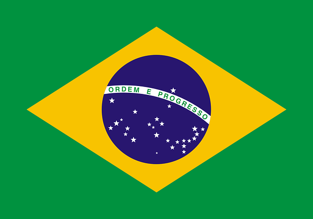 Brazil flag