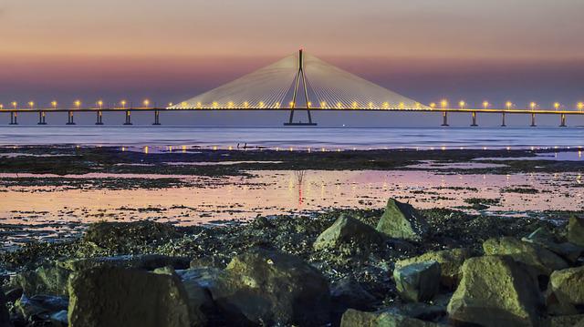 An image of the Bandra-Worli Sea link (side view)