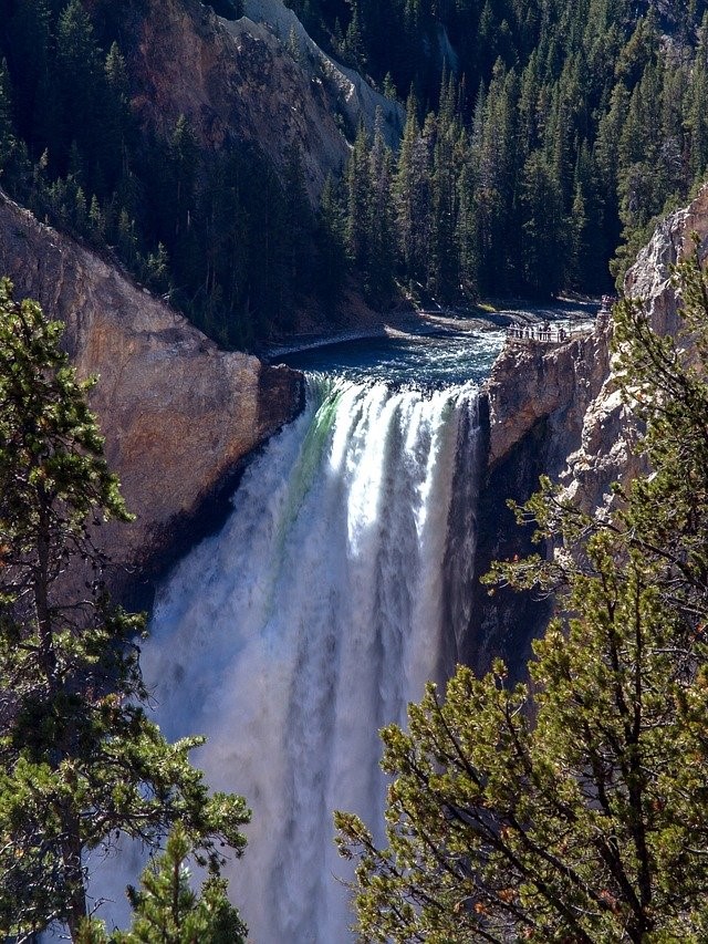 Yellowstone National Park Vs Yosemite National Park GEOGRAPHY HOST