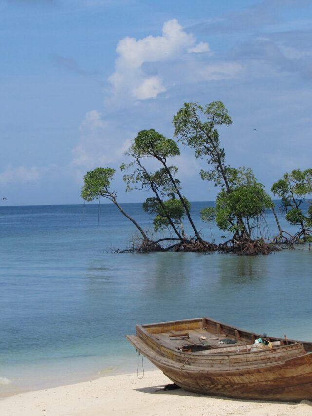 9 fun facts about the Andaman and Nicobar Islands