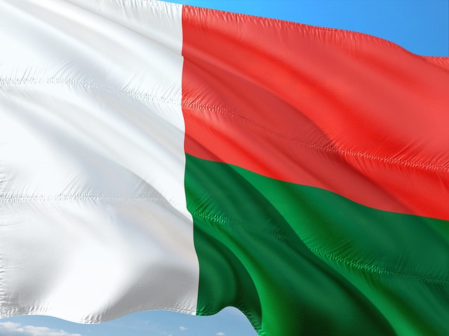 Flag of Madagascar