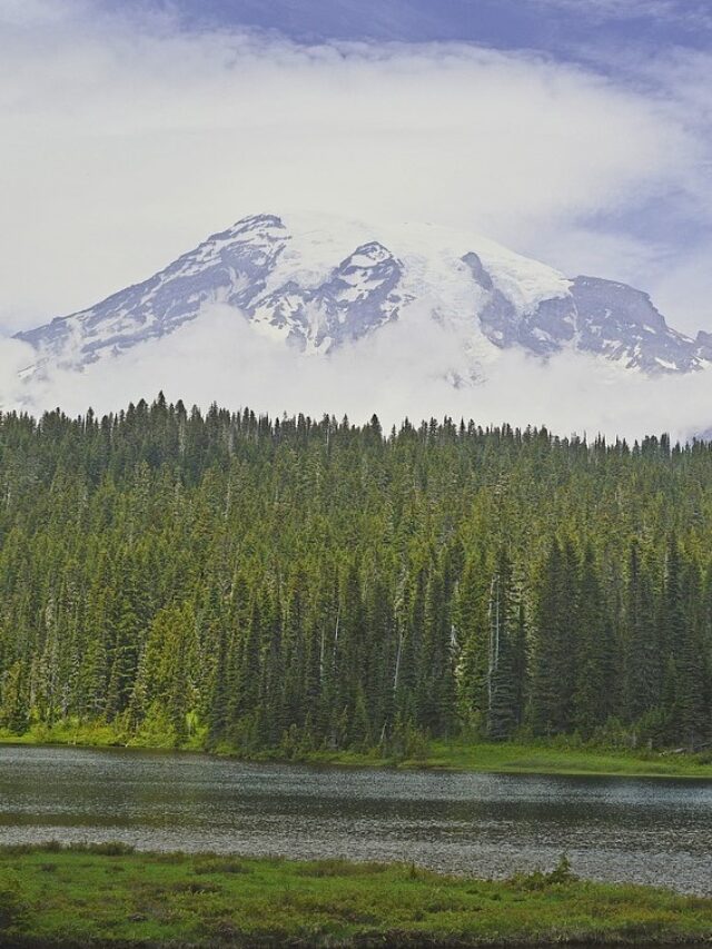 Olympic National Park vs Mount Rainier National Park