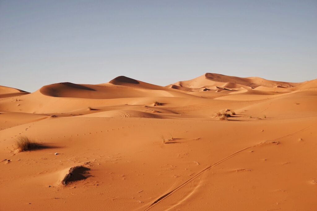 Sand dunes in Sahara desert of Africa