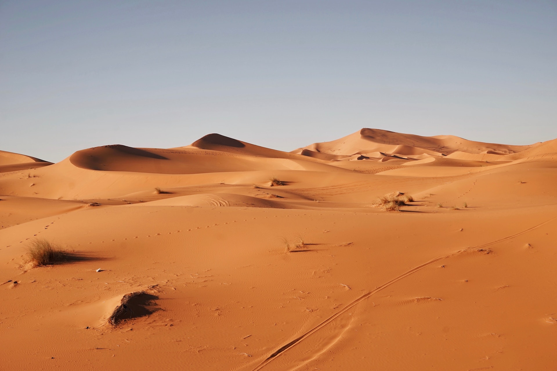 which-is-the-largest-desert-in-the-world-top-3-largest-deserts