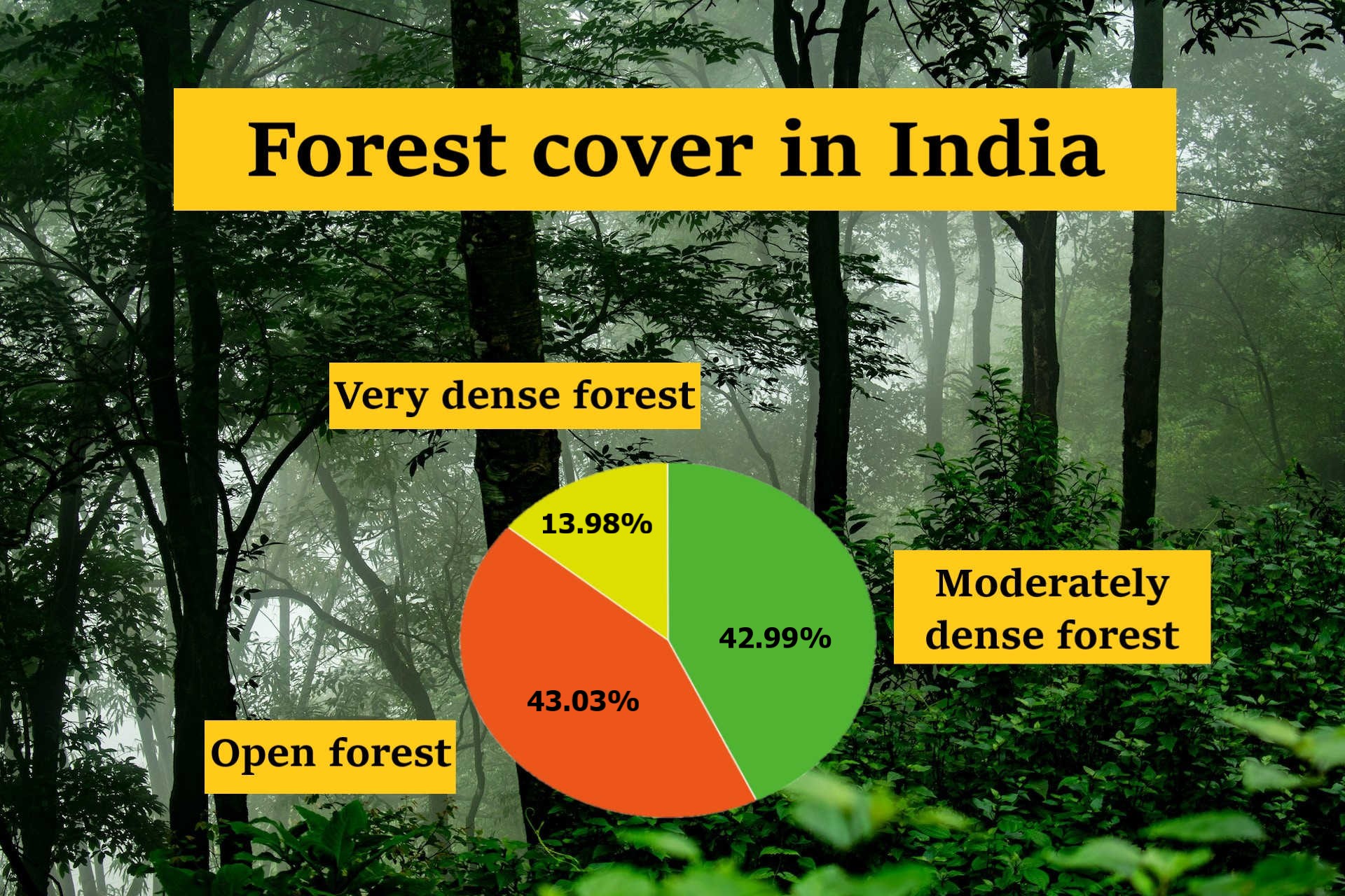 Forest cover in India (2024) - important statistics - GEOGRAPHY HOST
