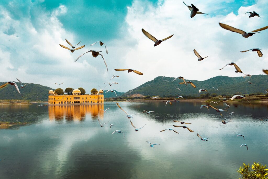 An image of Jal Mahal in Jaipur, Rajasthan