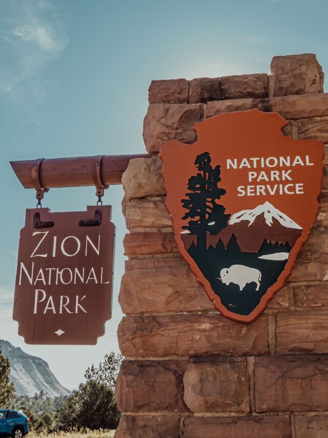 Why is Zion National Park so popular?