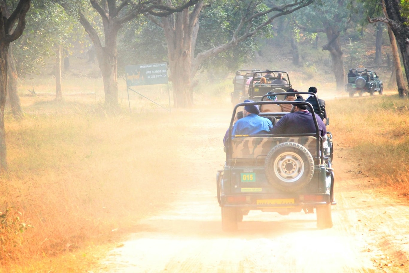 Now is the best time to visit an Indian National Park with family ...