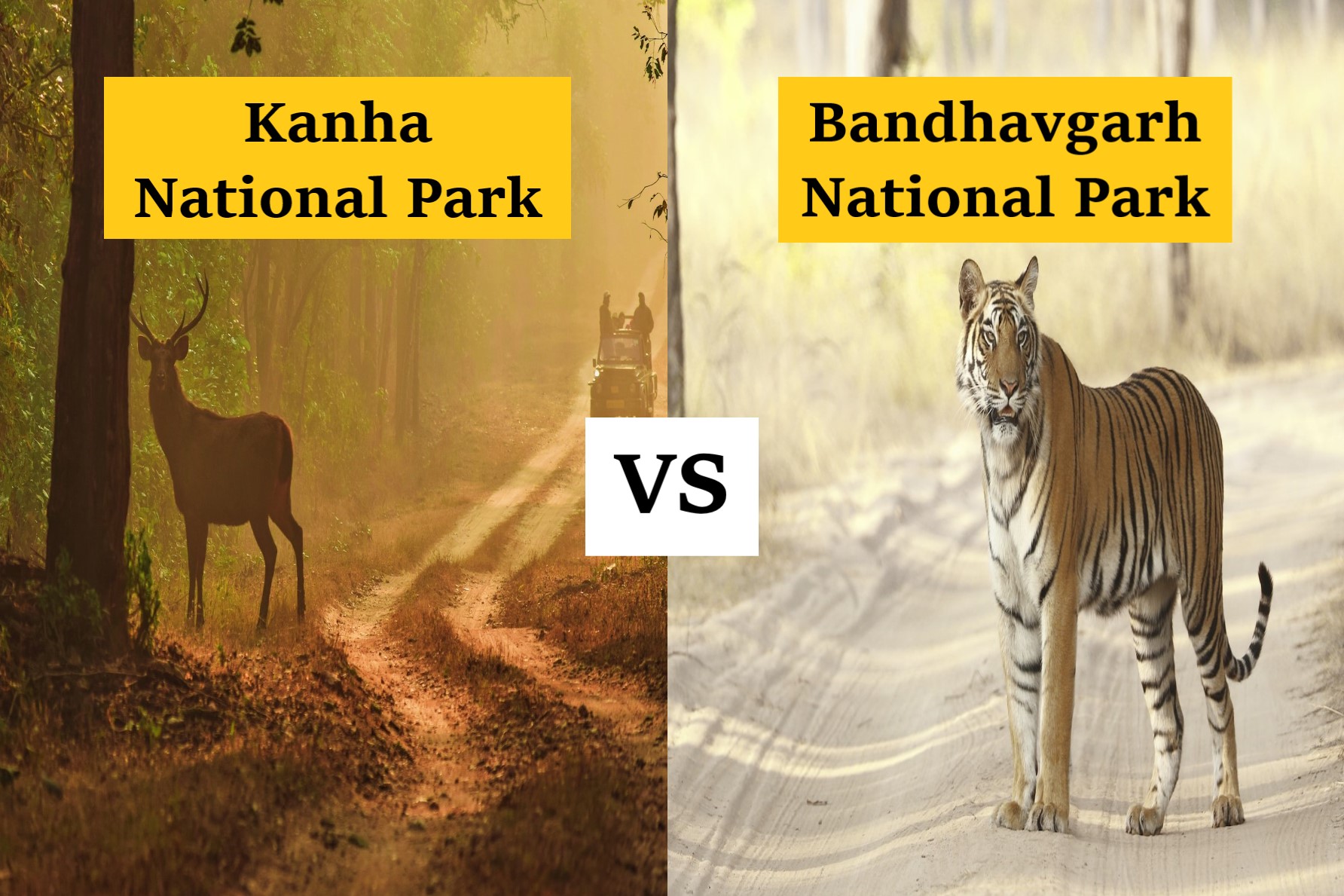 Kanha National Park vs Bandhavgarh National Park - GEOGRAPHY HOST