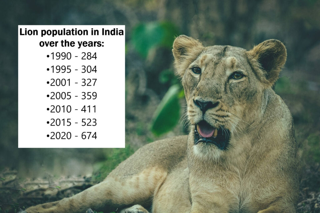 Lion population in India over the years