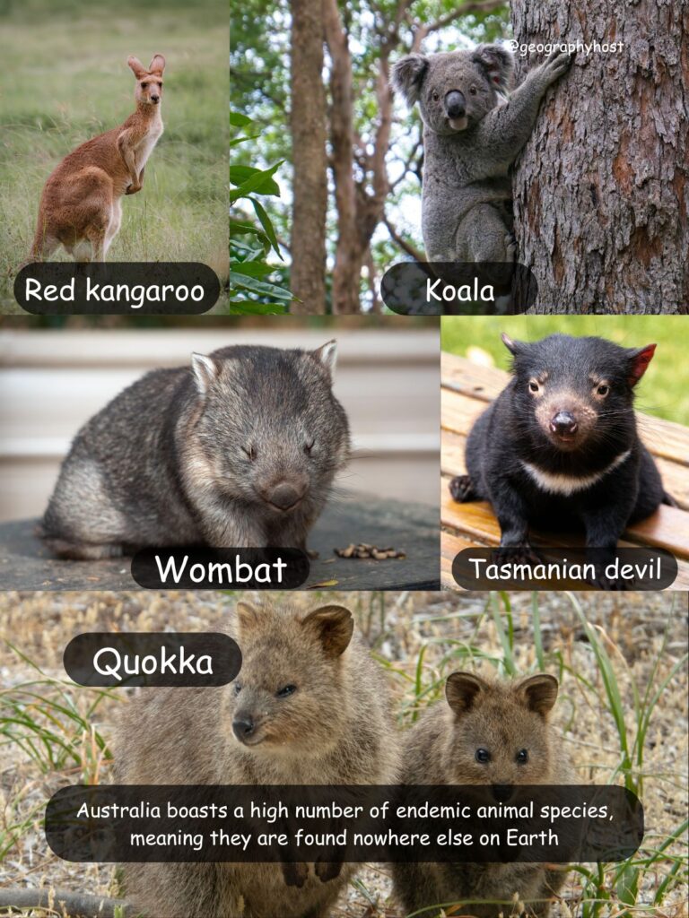 Endemic species in Australia