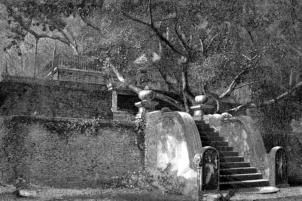 Jaya Sri Maha Bodhi in 1891
